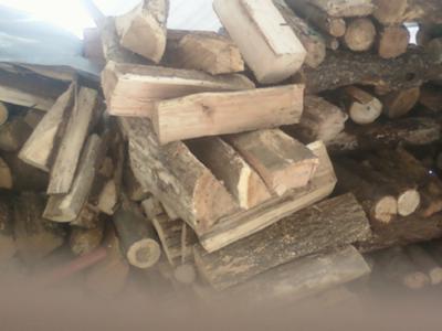 my cut firewood