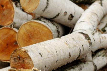 Firewood Types - Silver Birch