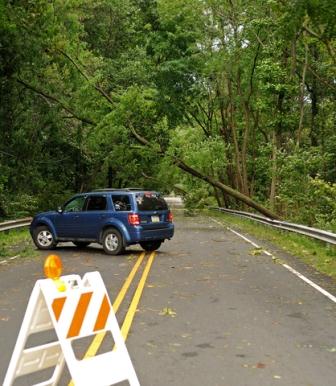 This might be a good job for someone experienced with a saw - clear the way quiclly so emergency services can pass.