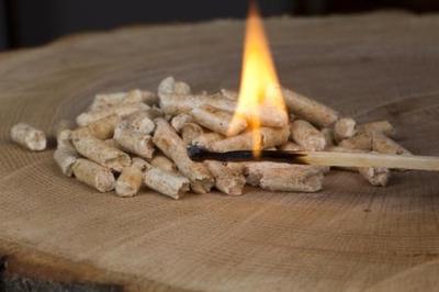 A bag of wood pellets make a convenient and quick fire starter